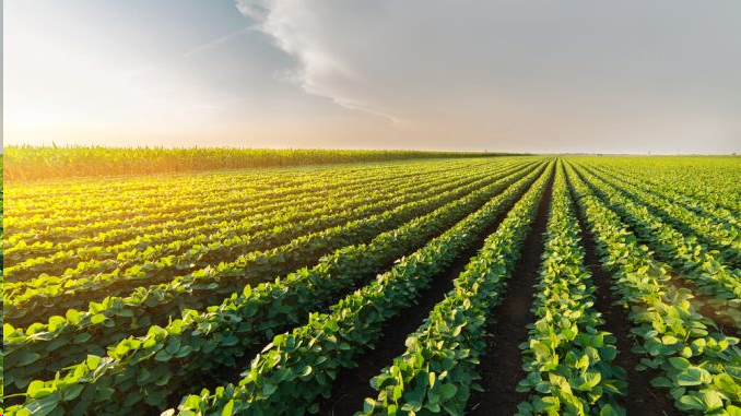 LEGGE REGIONALE 8 maggio 2014, n. 24  -    DECRETO DEL PRESIDENTE DELLA GIUNTA REGIONALE 13 maggio 2014, n. 25/R