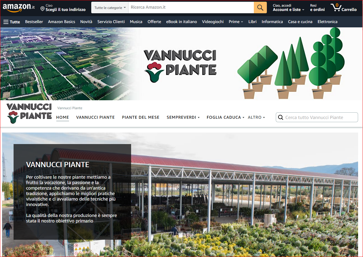 VANNUCCI PIANTE SU AMAZON