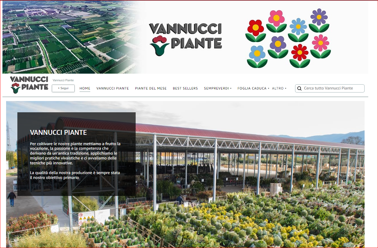 VANNUCCI PIANTE SU AMAZON