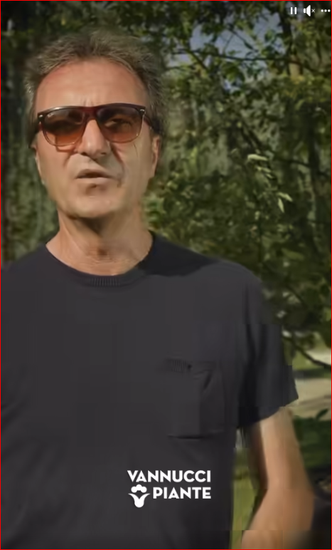 Video: Vannucci Piante GALABAU  Norimberga   11-14 Settembre 2024