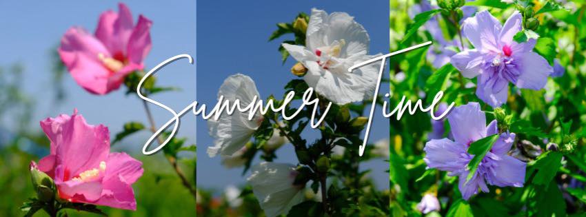 Reels - scopri il nostro showroom