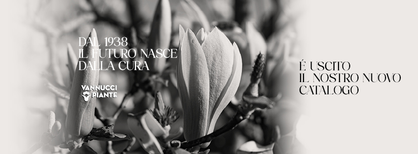 Scarica il nuovo catalogo